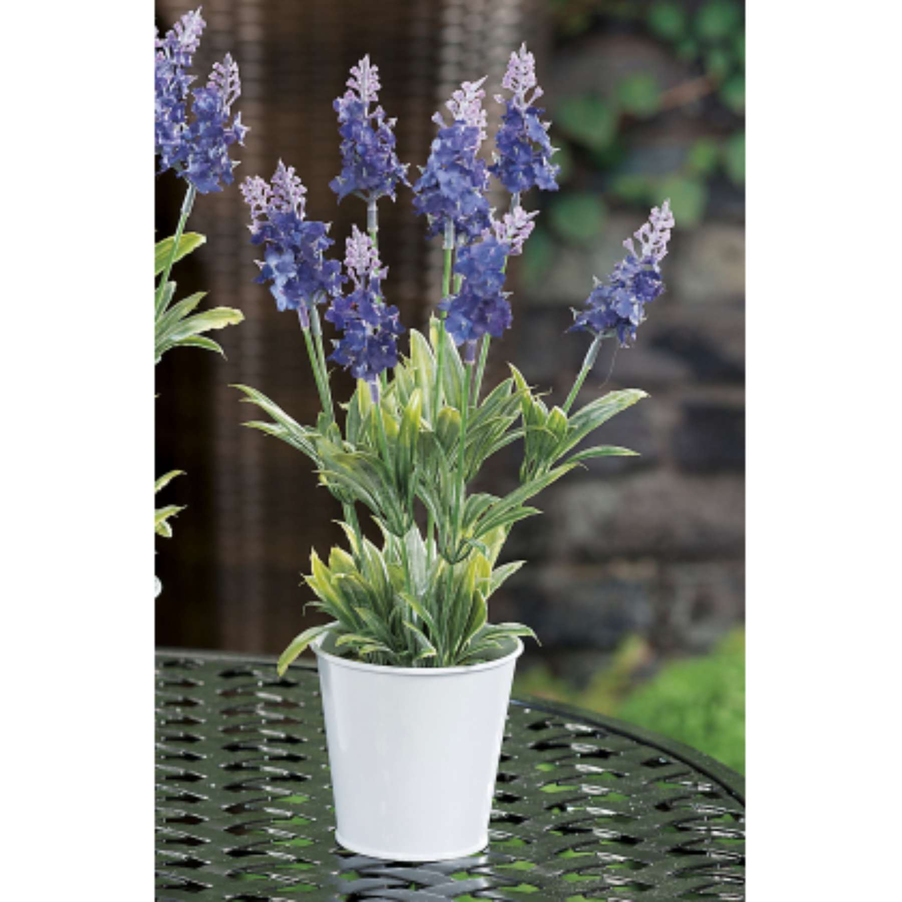 Vaso con Lavanda