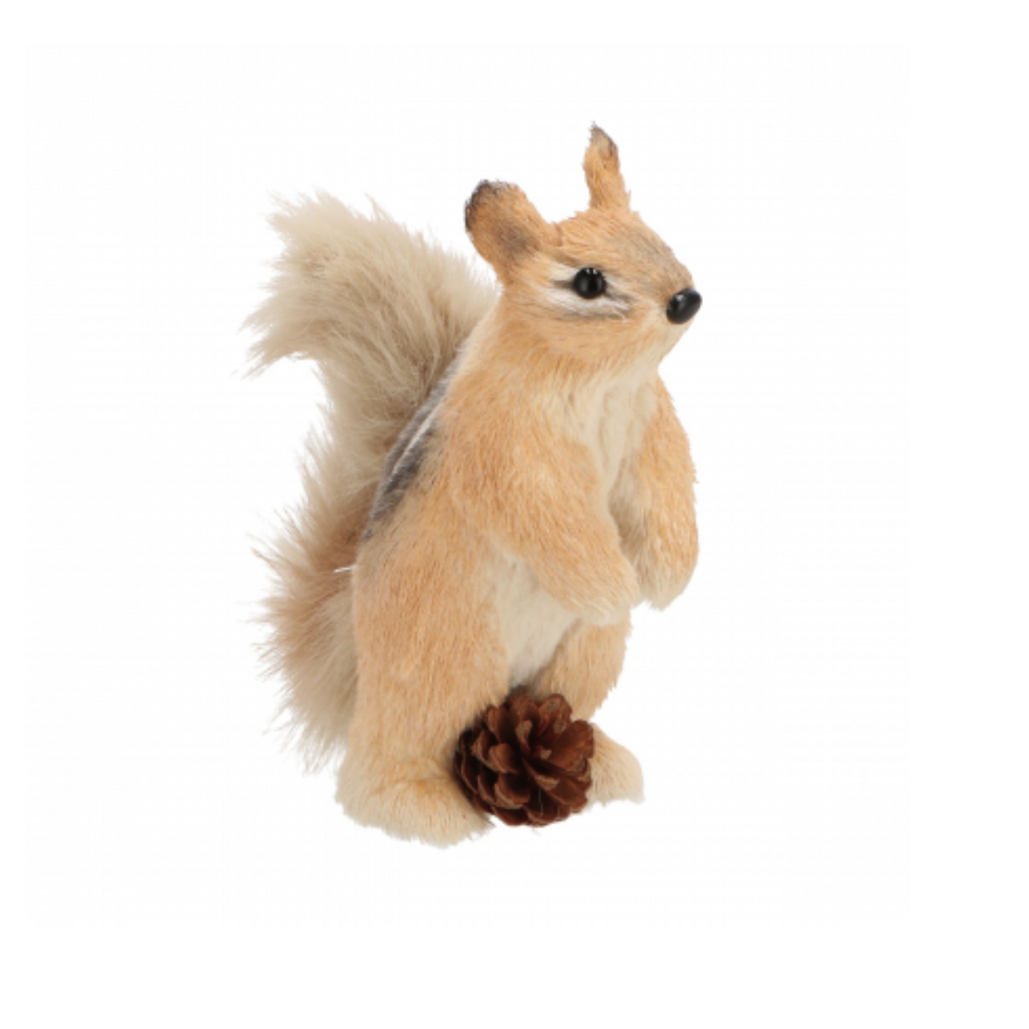 Scoiattolo con Pigna