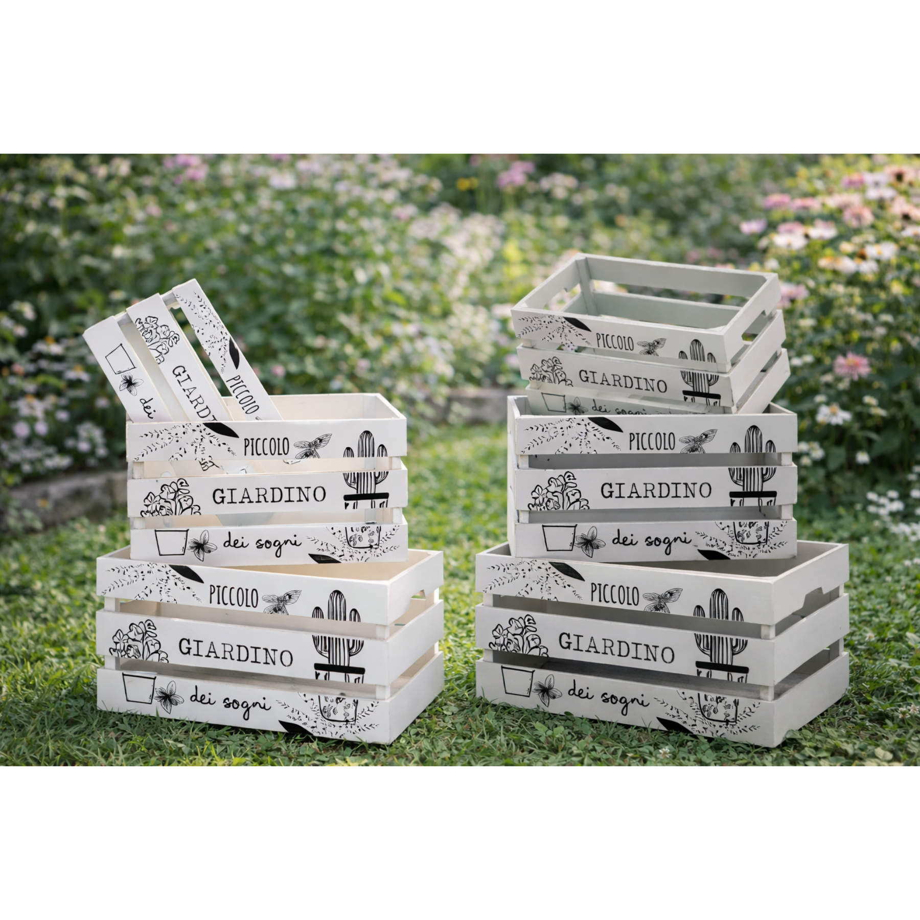 Cassetta Giardino dei Sogni