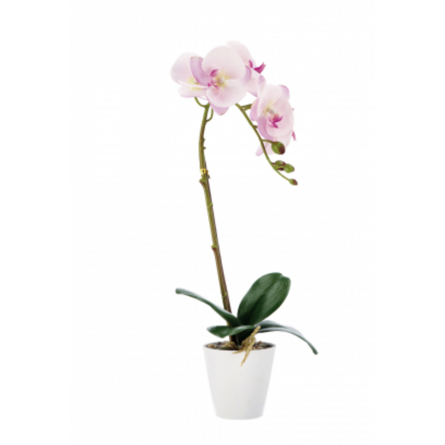 Orchidea Artificiale in Vaso