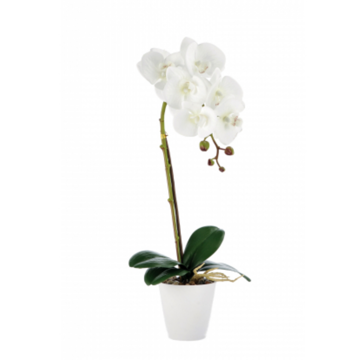 Orchidea Artificiale in Vaso