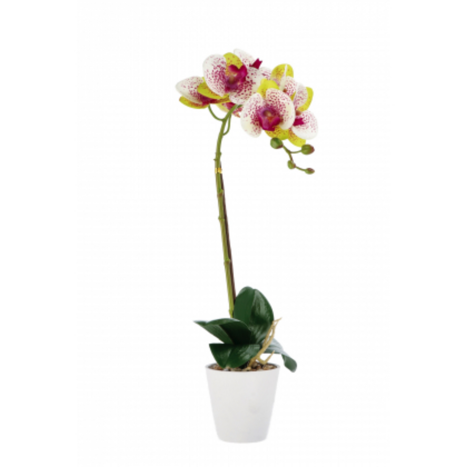 Orchidea Artificiale in Vaso