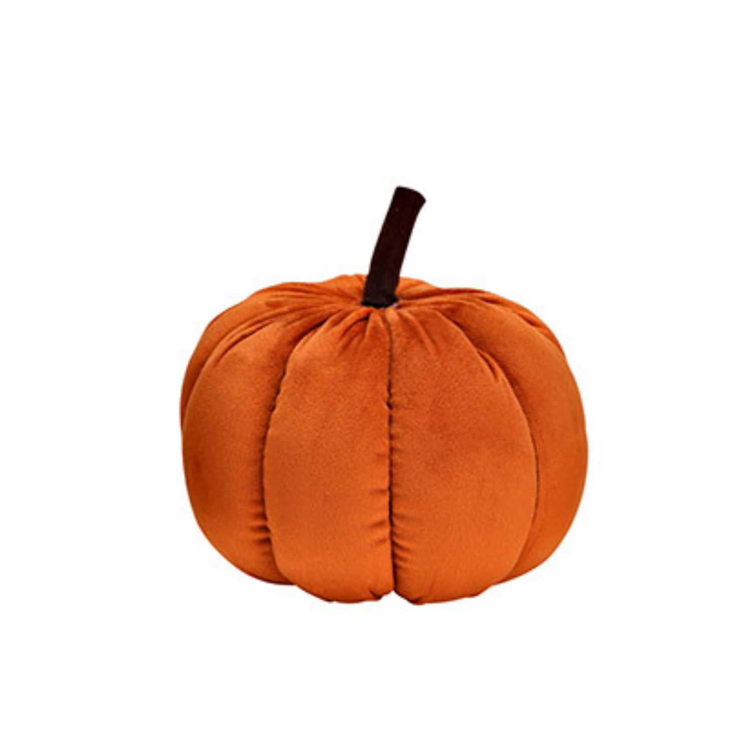 Zucca Velluto