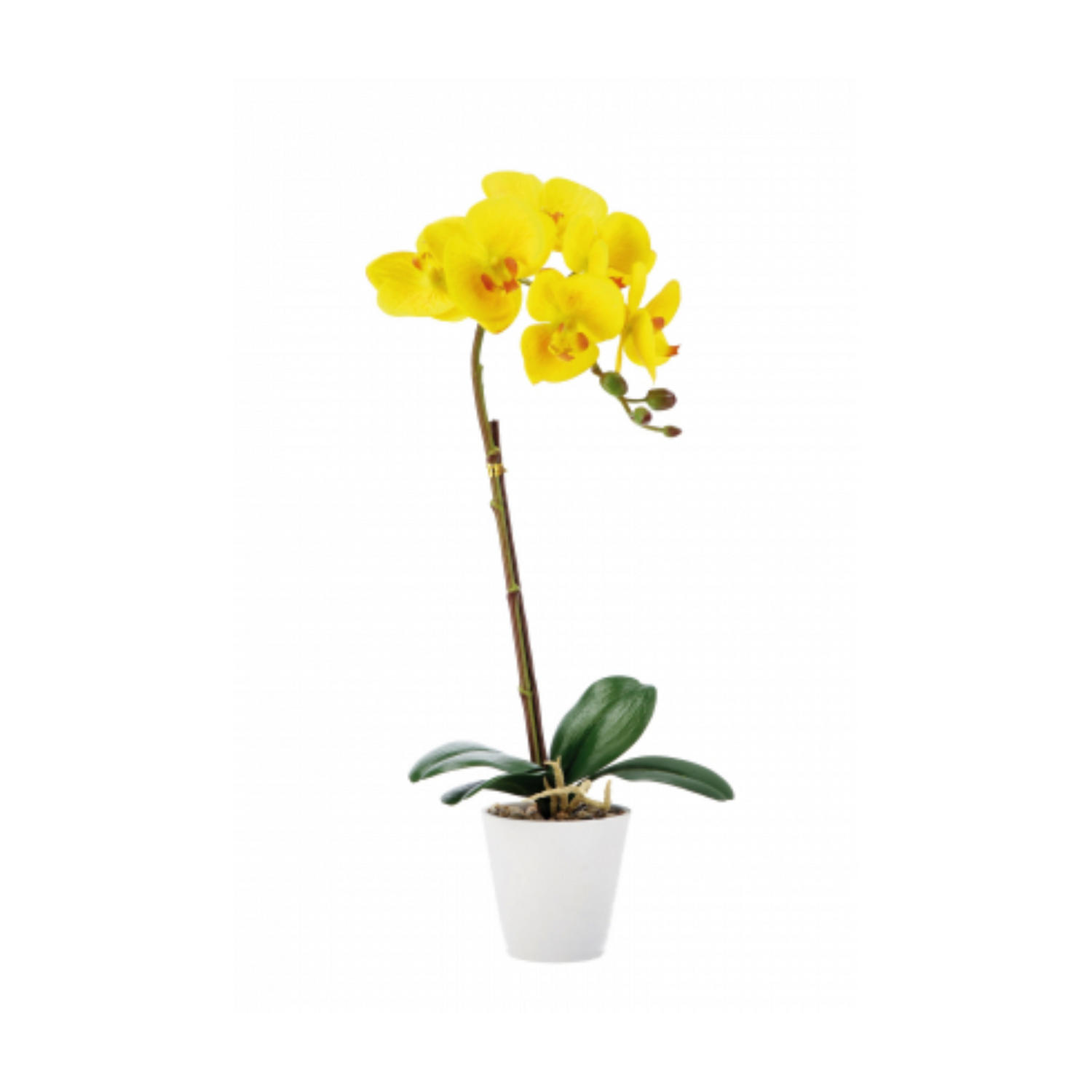 Orchidea Artificiale in Vaso
