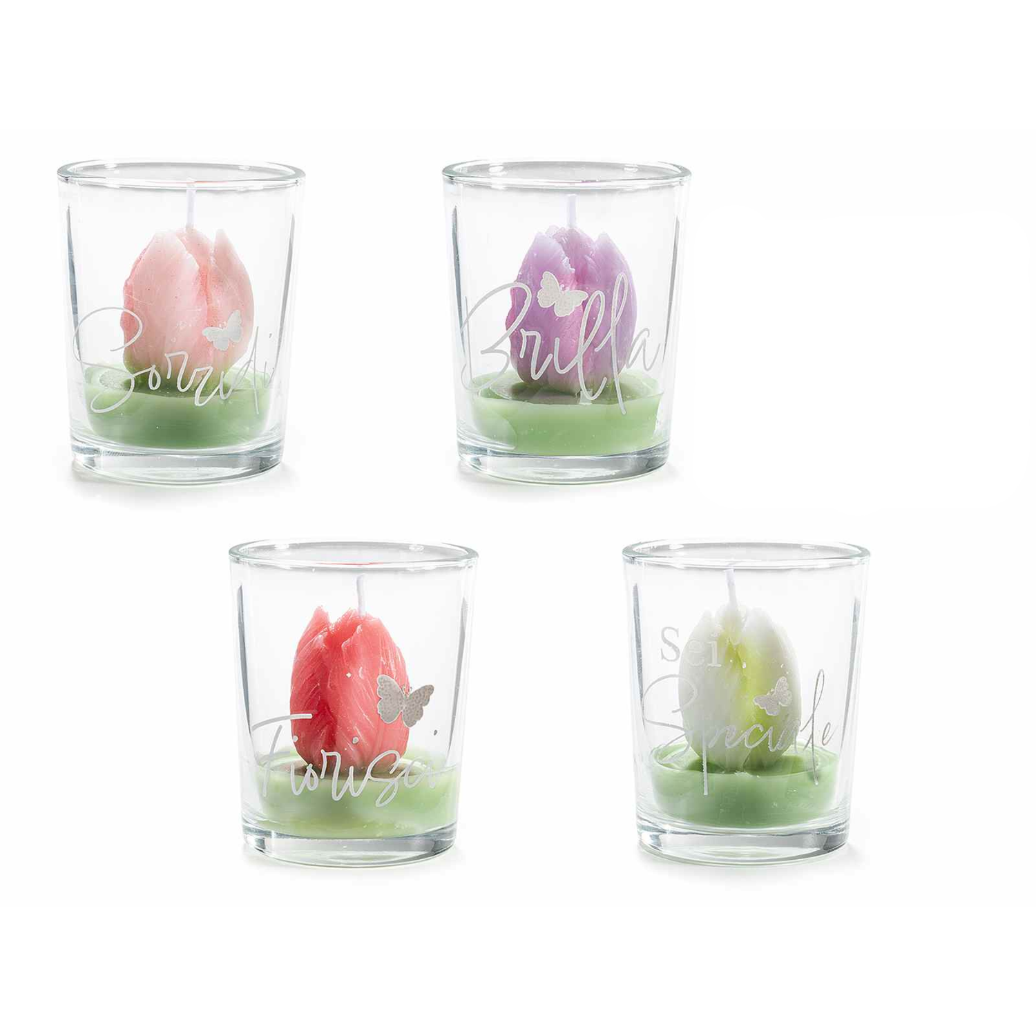 Candela Tulipano in Vasetto