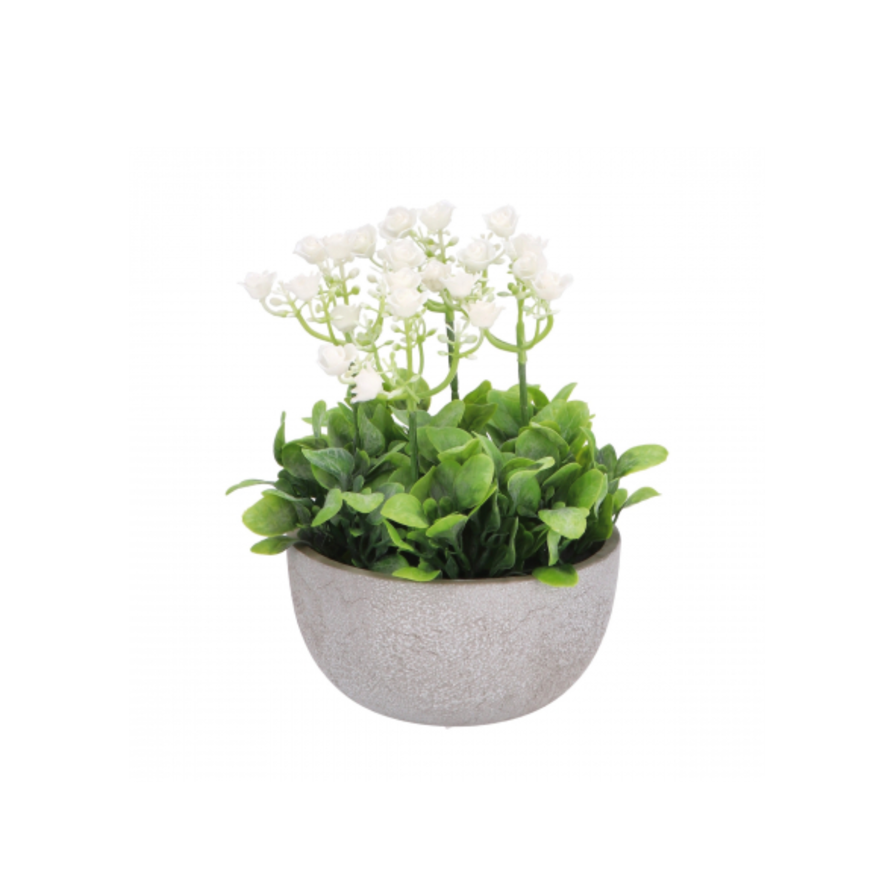 Vaso con Fiorellini