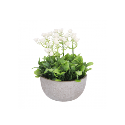 Vaso con Fiorellini