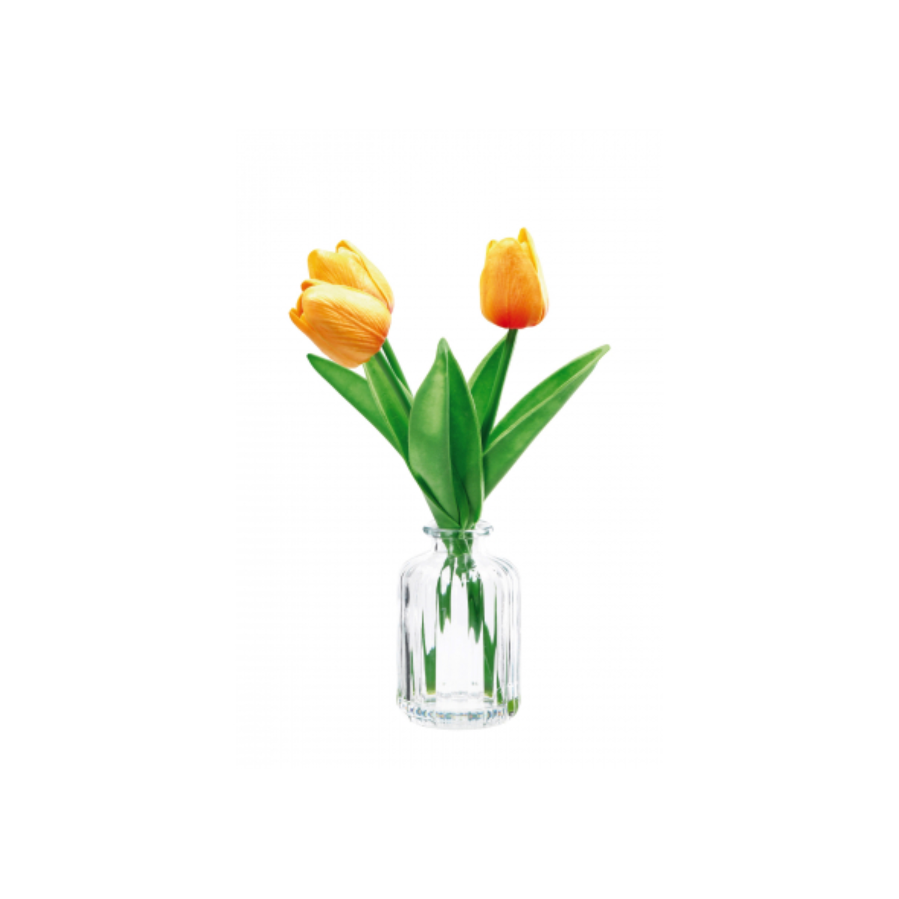 Vasetto in Vetro con Tulipani