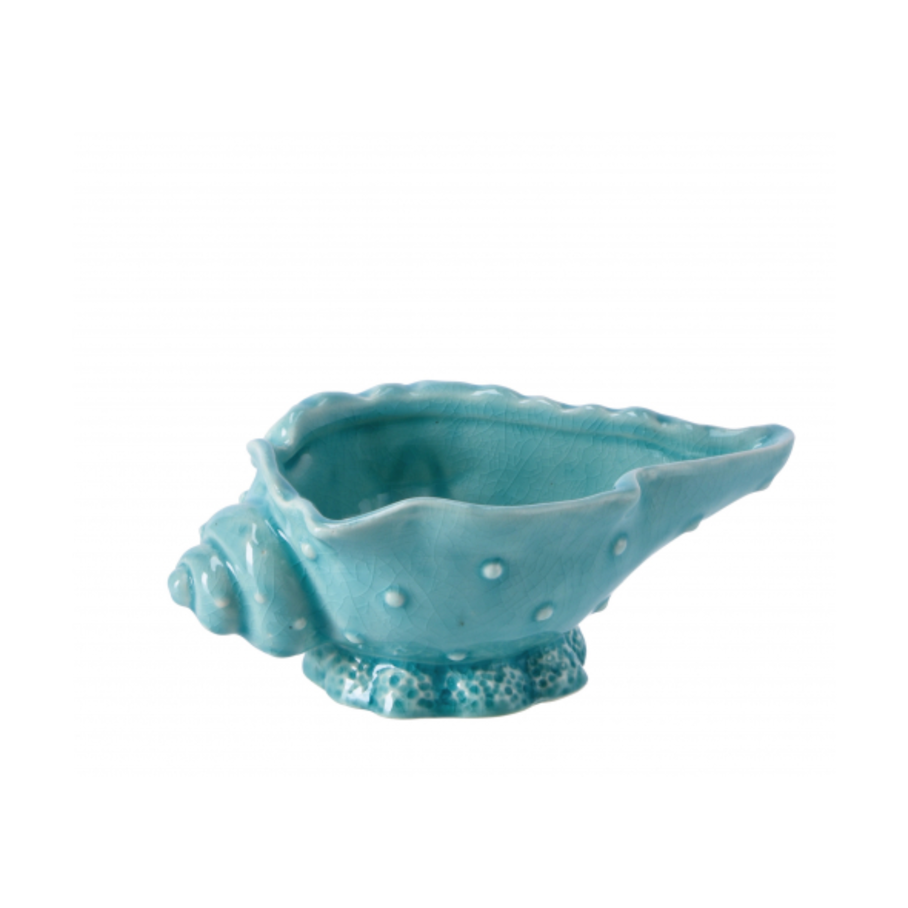 Decorazione Conchiglia Ceramica
