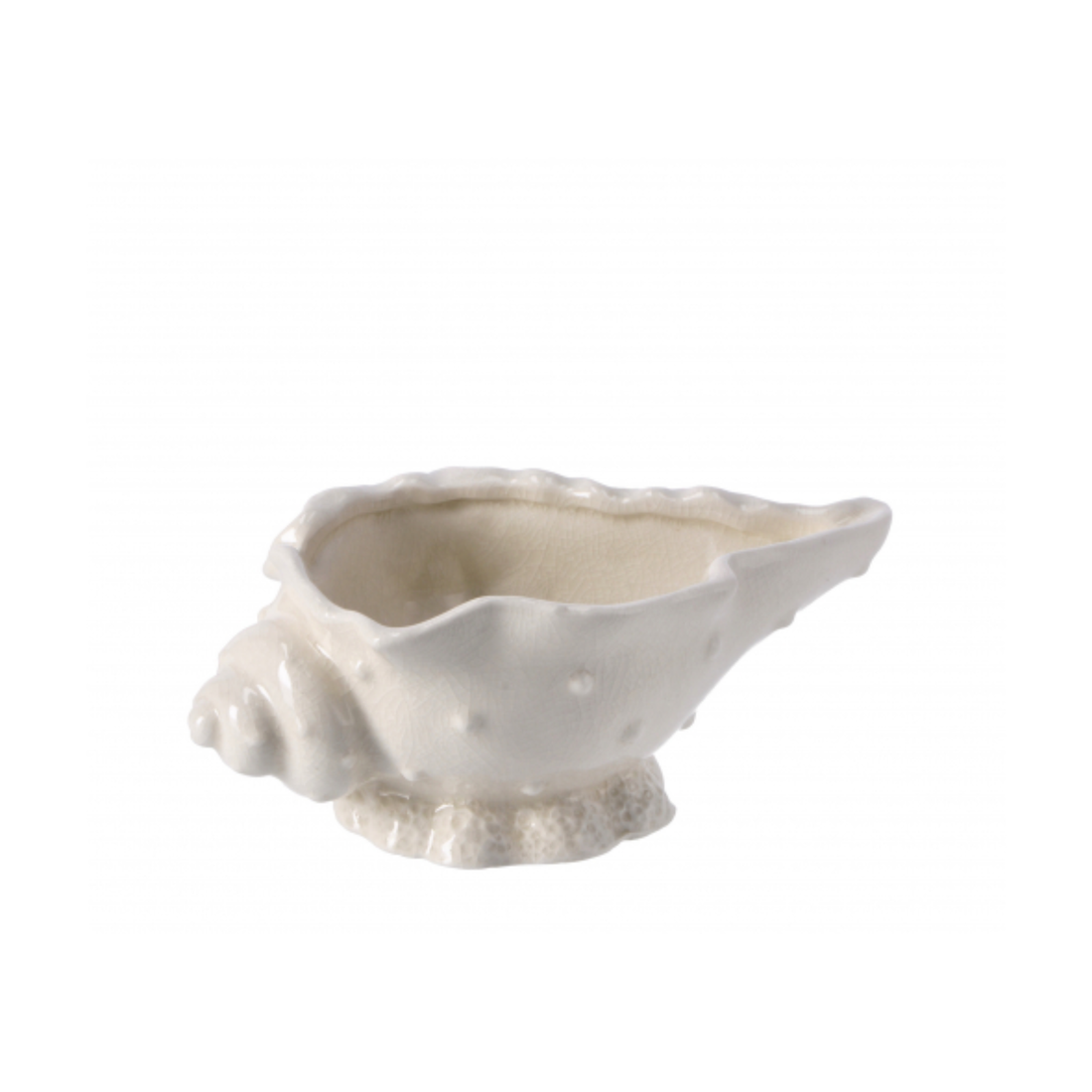 Decorazione Conchiglia Ceramica